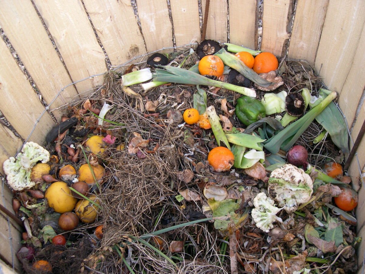 Compost bin at Ryton gardens